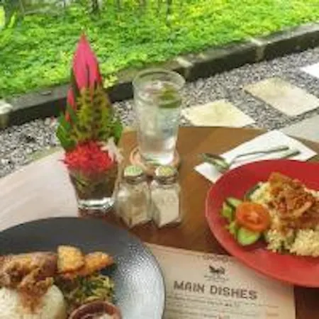 Bebek Cottages Sanur-2